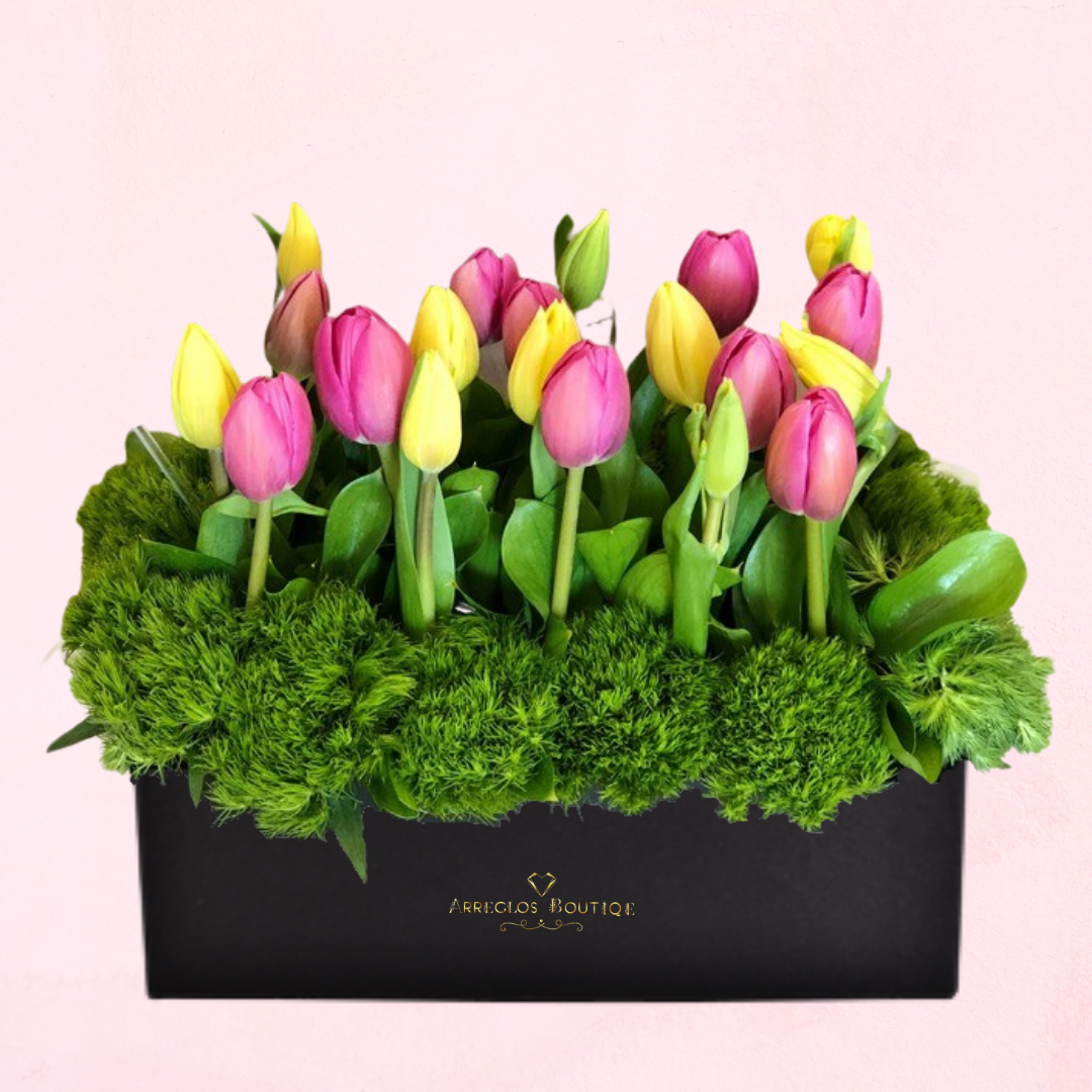 Armonía de Tulipanes – Arreglos Boutique
